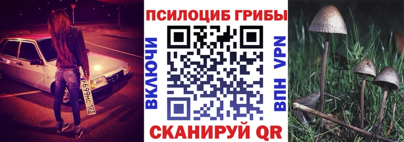 кракен зеркало  Шахты  Галлюциногенные грибы Psilocybine cubensis  магазин   