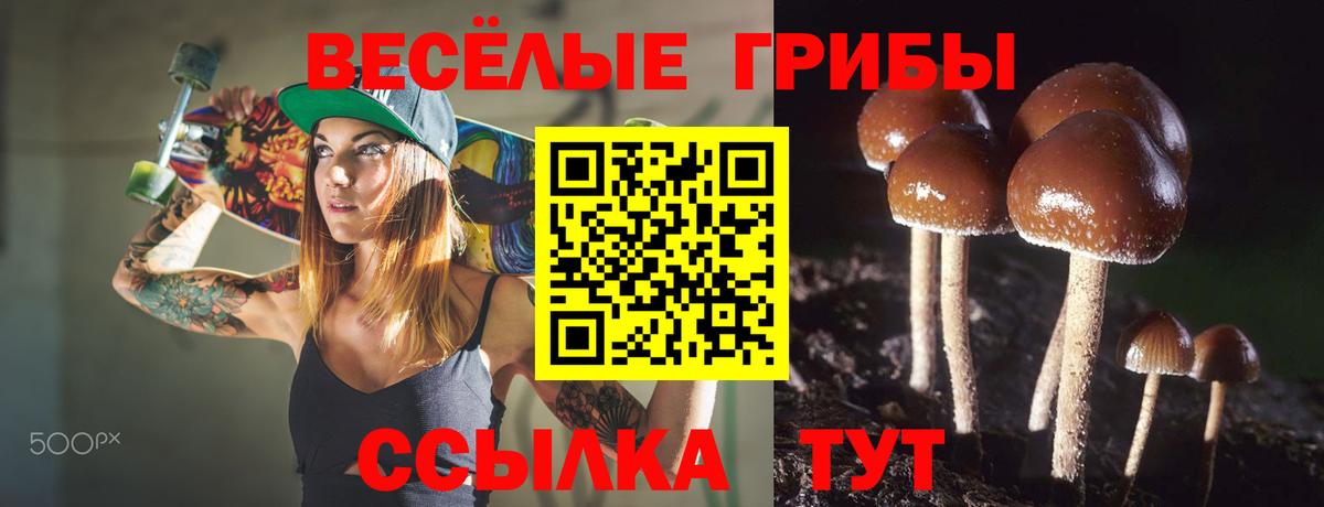 Шахты  Псилоцибиновые грибы Cubensis  Вход с VPN 